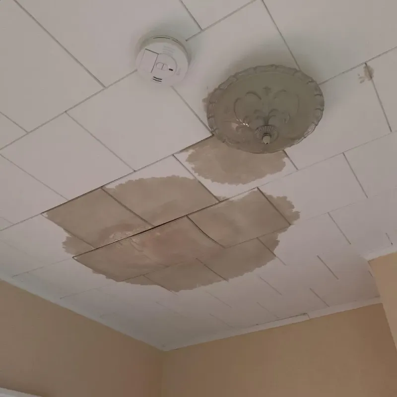 Ceiling Water Damage Repair in Tiltonsville, OH