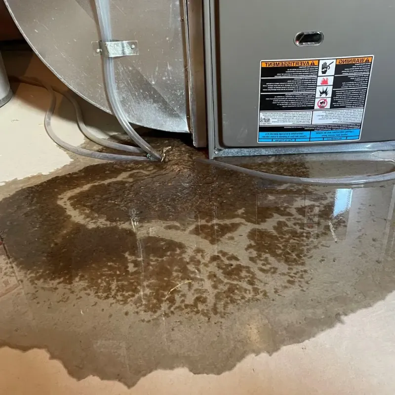 Pipe Burst and Leak Restoration in Tiltonsville, OH