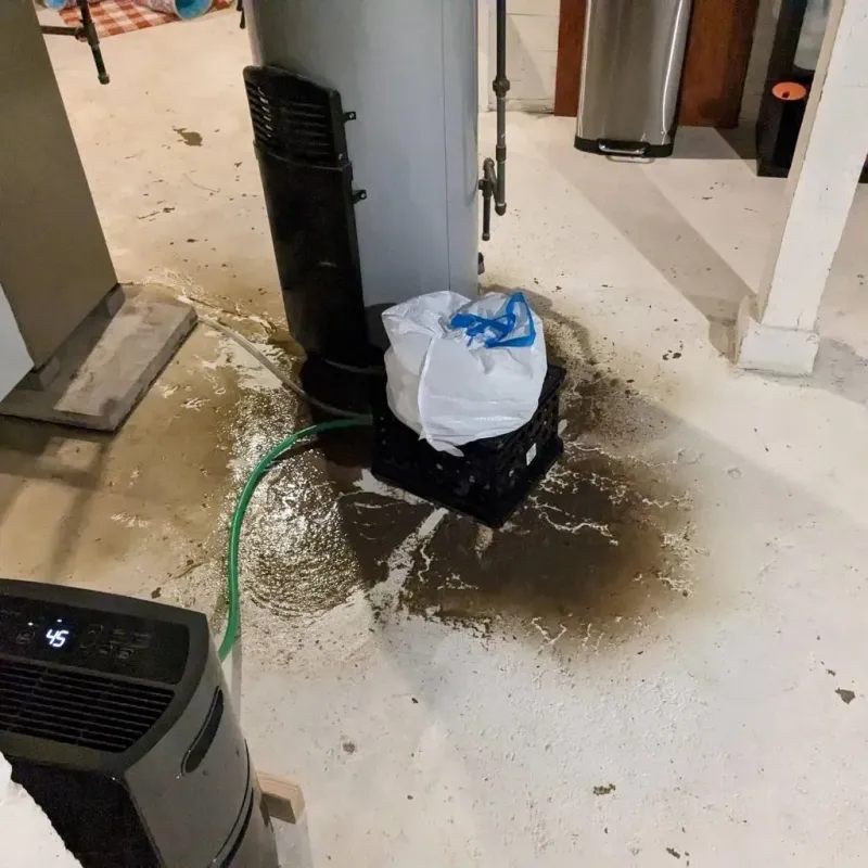 Sewage Backup Cleanup Service in Tiltonsville, OH